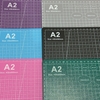 Bảng lót đất nặn A2  size 2,5mm*45*60cm mix màu