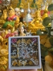 Hộp hồ ly sáp cứng - trưng bày