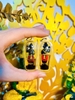 Amulet Kuman ôm túi tiền