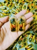 Amulet Kuman ôm túi tiền
