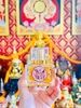 Nước hoa ngựa VIP lá vàng