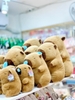 Thú bông chuột lang nước Capybara mũi xanh