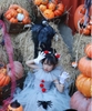 Set váy voan hóa trang Halloween chú hề Pennywise 4 chi tiết