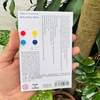 Hộp 10 bút chì màu Mideer