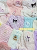 Set 3 quần chip đùi cotton Teengo mẫu Capybara, Doremi, Pochacco, Unicorn