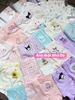 Set 3 quần chip đùi cotton Teengo mẫu Capybara, Doremi, Pochacco, Unicorn