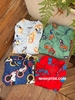 Bộ pyjamas nỉ dạ dài tay Disney Mickey, Bluey, Spiderman bé trai 4 mẫu