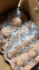 Áo Bra Victoria’s Secret PINK 3 màu đen, nâu, hồng nude