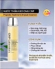 Set 2 lọ nước thần CNP Propolis Treatment Ampule Essence 150ml+100ml