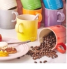 Set 6 cốc sứ sắc màu hãng Le Creuset