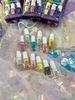 Set 12 lọ sơn móng tay NAIL POLISH hãng Primark