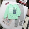 Bộ cotton dài tay thu đông hãng H&M 7 mẫu bé gái