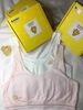 Set 2 áo bra Beautiful gấu hộp vàng