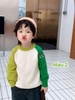 Áo len raglan cổ tròn mix màu 4 mẫu bé trai, bé gái