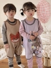 M1 - CHÓ HỒNG