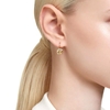 Bông tai Swarovski Bella V Drop, Round Cut, Gold-Tone Plated