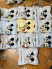 Bộ cotton gân Bebe dài tay cho bé nhiều mẫu