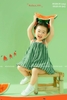 Váy 2 dây Sofia Candy dáng bí hình dưa hấu kẻ xanh