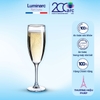 Bộ 6 ly champagne thủy tinh Luminarc Elegance 170ml - 12063