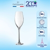 Bộ 6 ly champagne thủy tinh C&S Grands Cepages 240ml - E6250
