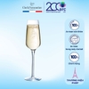 Ly champagne thủy tinh C&S Sublym Flute 210ml - L2762