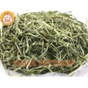Cỏ Lúa Mạch Non Cho Thỏ, Bọ Ú🐹FREESHIP🐹 Cỏ Lúa Mì Nguyên Cọng Thức Ăn Cho Thỏ và Bọ