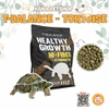 Thức Ăn TBalance Bò Sát Rùa Cạn 🐹FREESHIP🐹 𝟭𝟬𝟬𝗚𝗿 T-Balance CHÍNH HÃNG Dành Cho Rùa Cạn, Bò Sát