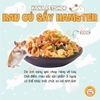 Đồ Ăn Hamster 🐹FREESHIP🐹 100Gram Rau Củ Sấy Khô cho Thỏ, Hamster, Bọ, Chinchilla