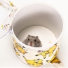 Giỏ Vận Chuyển Hamster 🐹FREESHIP🐹 Lồng Xách Tay Vận Chuyển Hamster , Nhím , Sóc , Sóc Bay