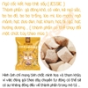 Thức Ăn Ngũ Cốc Mini 🐹FREESHIP🐹 Jessie Gói Mini 5 Vị Rau Củ - Hải Sản - Hoa Cỏ -Thịt Sấy Cho hamster