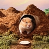 Lót Chuồng Hamster Mùn Dừa Bucatstate 🐹FREESHIP🐹 Mùn Dừa Bucatstate Xơ Dừa Lót Ổ Cho Hamster, Bò Sát