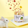 Snack Rau Đông Khô Hamster 🐹FREESHIP🐹 Rau Củ Hoa Quả Sấy Lạnh Giải Nhiệt Hãng Yee Dành Cho Hamster, Sóc, Nhím, Thỏ, Bọ