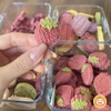 Bánh Ăn Dặm Dinh Dưỡng Hamster  🐹FREESHIP🐹 Bánh Sữa Dê Thịt Xay Không Gia Vị Vỗ Béo Hamster