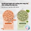 Thức Ăn Dán Kính Cao Cấp Yee 🐟 FREESHIP 🐟 Thức Ăn Dán Hồ Giàu Dinh Dưỡng Kích Màu Cho Cá Cảnh