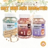 Hạt Khử Mùi RunAround 🐹FREESHIP🐹 Hạt Khử Mùi Nguyên Liệu Tự Nhiên An Toàn Cho Hamster