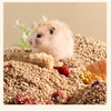 Lõi Ngô Cùi bắp Lót Chuồng Bucatstate cho hamster và thú nhỏ, Bò Sát