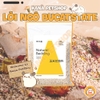 Lõi Ngô Cùi bắp Lót Chuồng Bucatstate cho hamster và thú nhỏ, Bò Sát