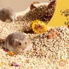 Lõi Ngô Cùi bắp Lót Chuồng Bucatstate cho hamster và thú nhỏ, Bò Sát