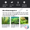 ALGAECIDE Ngăn Ngừa Rêu Tảo 🐟 FREESHIP 🐟 YEE Hạn Chế Rêu Tảo An Toàn Không Gây Hại Cho Cá