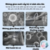 Vật Liệu Lọc Cao Cấp 6D 🐟 FREESHIP 🐟 Vật Lọc Nano Thế Hệ Mới Yee Bacteria House