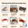 Thức Ăn Viên Dành Cho Cua Cảnh 🐟 FREESHIP 🐟 Cám Viên Ốc Mượn Hồn, Cua Ẩn Sỹ Chính Hãng YEE