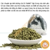 Cỏ Nén Giàu Chất Xơ Profood 🐹FREESHIP🐹 Profood Thỏ Lớn Dr Bunny (hàng chính hãng)