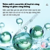 Chế Phẩm Yee Stabilizer Cân Bằng Môi Trường Sống Cho Cá 🐟 FREESHIP 🐟 Khử Clo Nước Máy Và Ổn Định PH