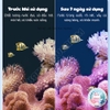 Sứ Gạch Cao Cấp Nanocultured 🐟 FREESHIP 🐟 Gạch Nano Yee Giúp Nước Trong Sạch, Ổn Định Hệ Sinh Thái