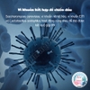 Chế Phẩm Sinh Học Nitrifier 🐟 FREESHIP 🐟 Xử Lý Nước Tối Ưu Giúp Hồ Cá Trong Vắt Khử Độc Nitrat Hoá