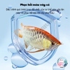 Vitamin Tổng Hợp Cho Cá🐟 FREESHIP 🐟Vitamin Amino Acids Hỗ Trợ Tiêu Hóa Tăng Sức Đề Kháng Giảm Stress