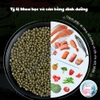 [Hạt nổi] Cám Cá Chép Sư Tử Bessn Butterfly 🐟FREESHIP🐟 Thức Ăn Lên Màu Cá Giàu Đạm Tảo Xoắn Vitamin
