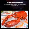 Cám cá La Hán 🐟 FREESHIP 🐟 Thức ăn BESSN Flower Horn - Tăng trọng, Tăng đầu, Lên Màu Cho Cá