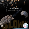 Thức Ăn Rùa Cảnh 🐟 FREESHIP 🐟 Yee Turtle Feed Dinh Dưỡng Phát Triển Khỏe Mạnh Mai Rùa Đẹp Tự Nhiên