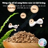 Thức Ăn Rùa Cảnh 🐟 FREESHIP 🐟 Yee Turtle Feed Dinh Dưỡng Phát Triển Khỏe Mạnh Mai Rùa Đẹp Tự Nhiên
